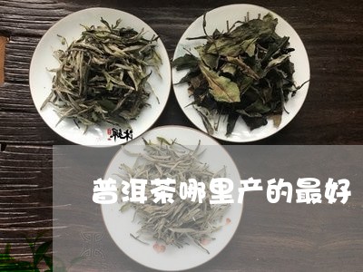 普洱茶哪里产的最好 最正宗图片/2023060273725